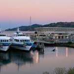 Larkspur Ferry Terminal