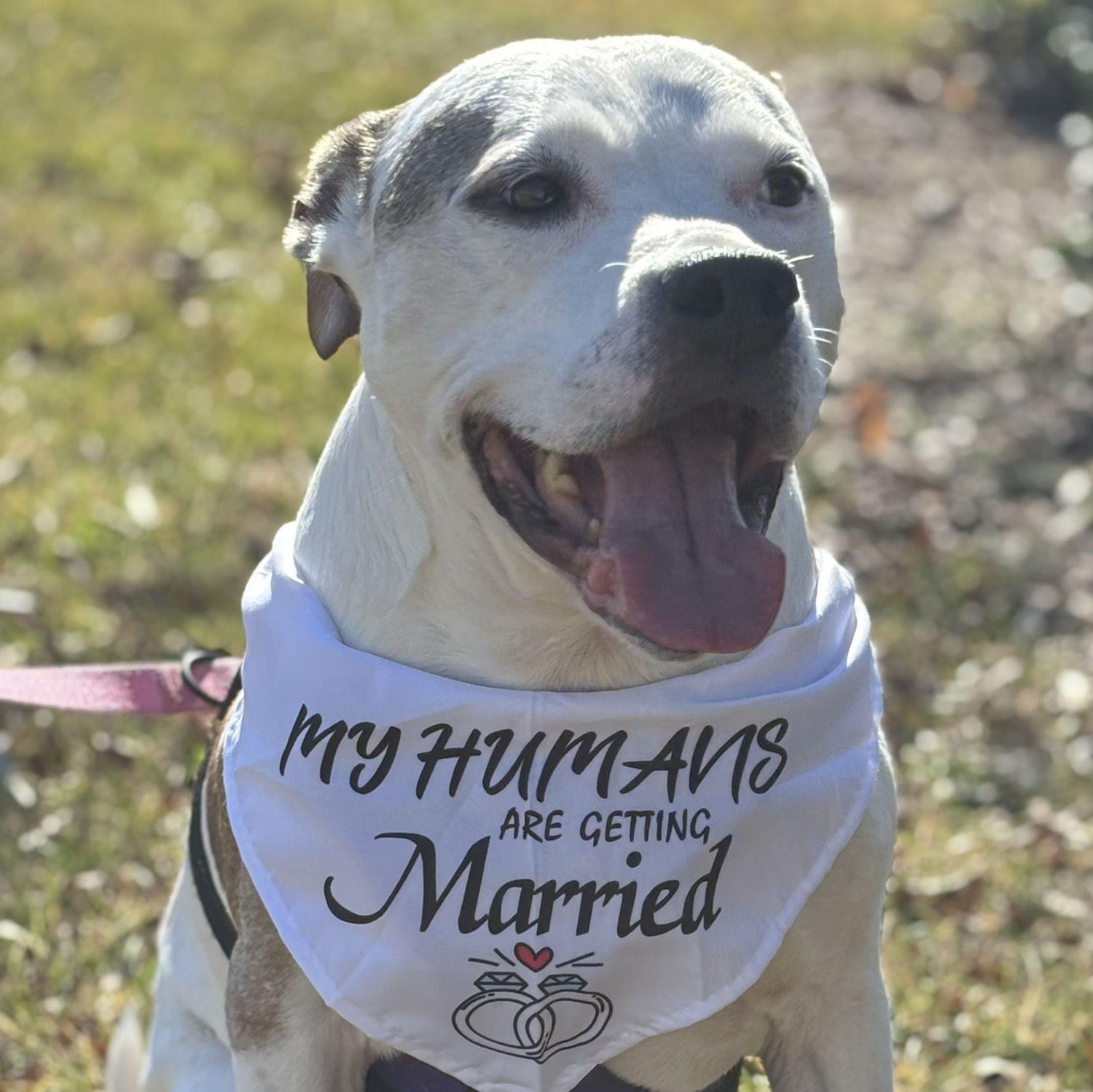 Our perfect girl!