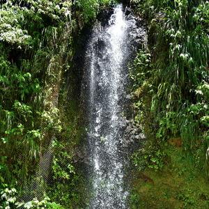 Volcano, mud bath, Piton Mountains & Waterfall experience in Soufrie