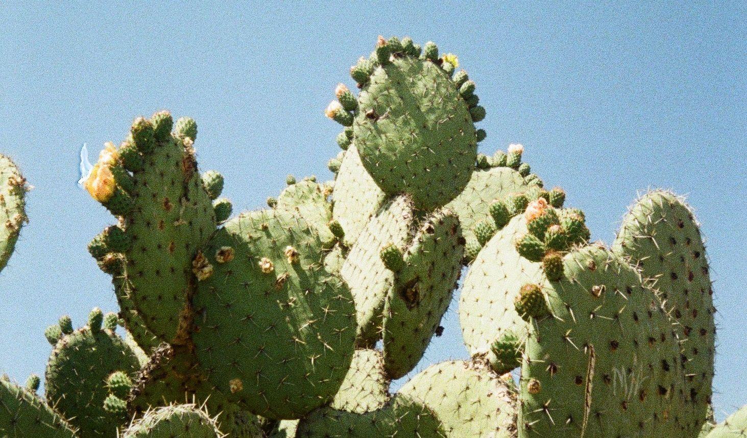 The Wedding Website of Alyssa Wigant and Eric Avalos