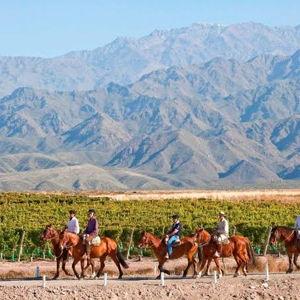Cabalgata entre viñedos