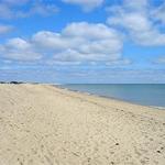 South Cape Beach State Park