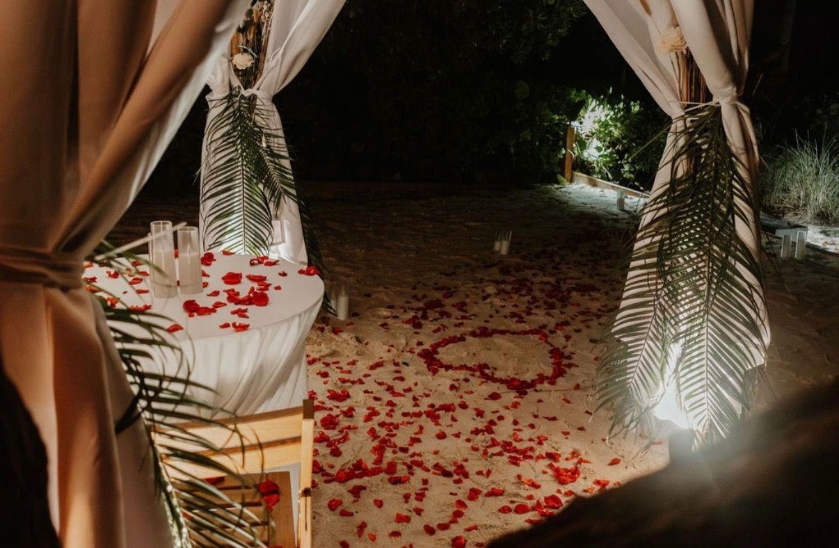 The Wedding Website of Alexis Sciubba and Jose Araujo