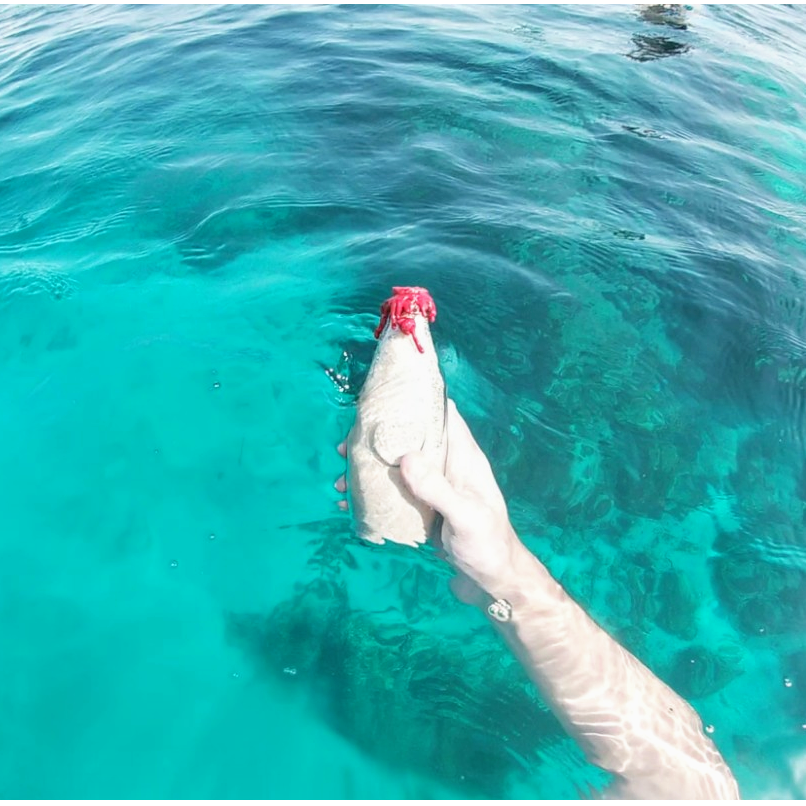 Message in a bottle that started the amazing proposal... Homemade!