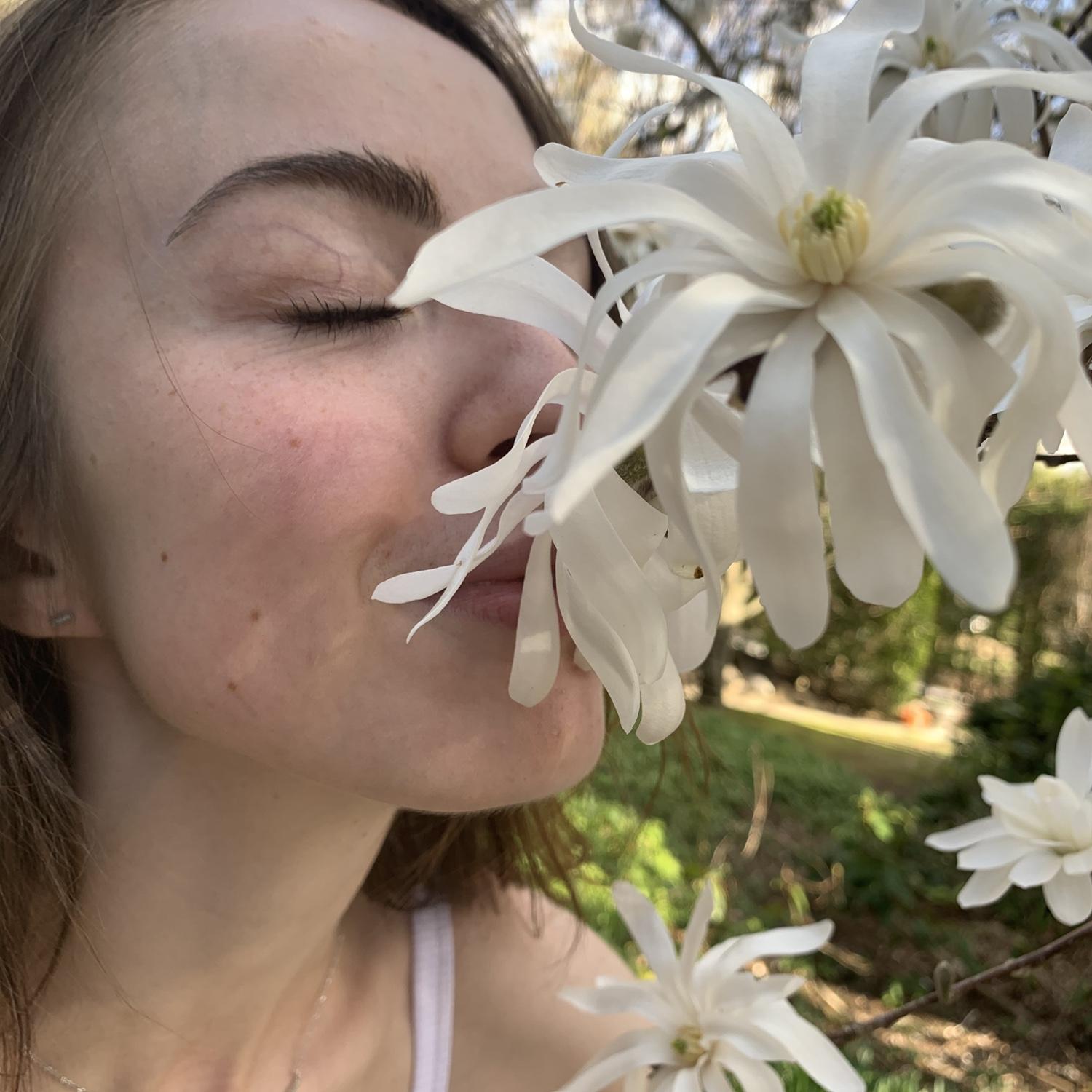 Spring at Tarbin Gardens