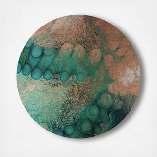 David Fleetham - Day Octopus Circle Acrylic Art