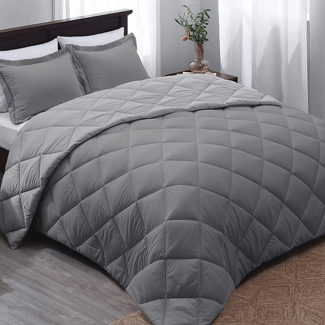 Basic Beyond Queen Comforter Set Reversible Grey Comforter Set Queen - 3 Pieces Ultra-Soft Microfiber Bed Comforter with 2 Pillow Shams for All Season(Charcoal Gray/Grey)