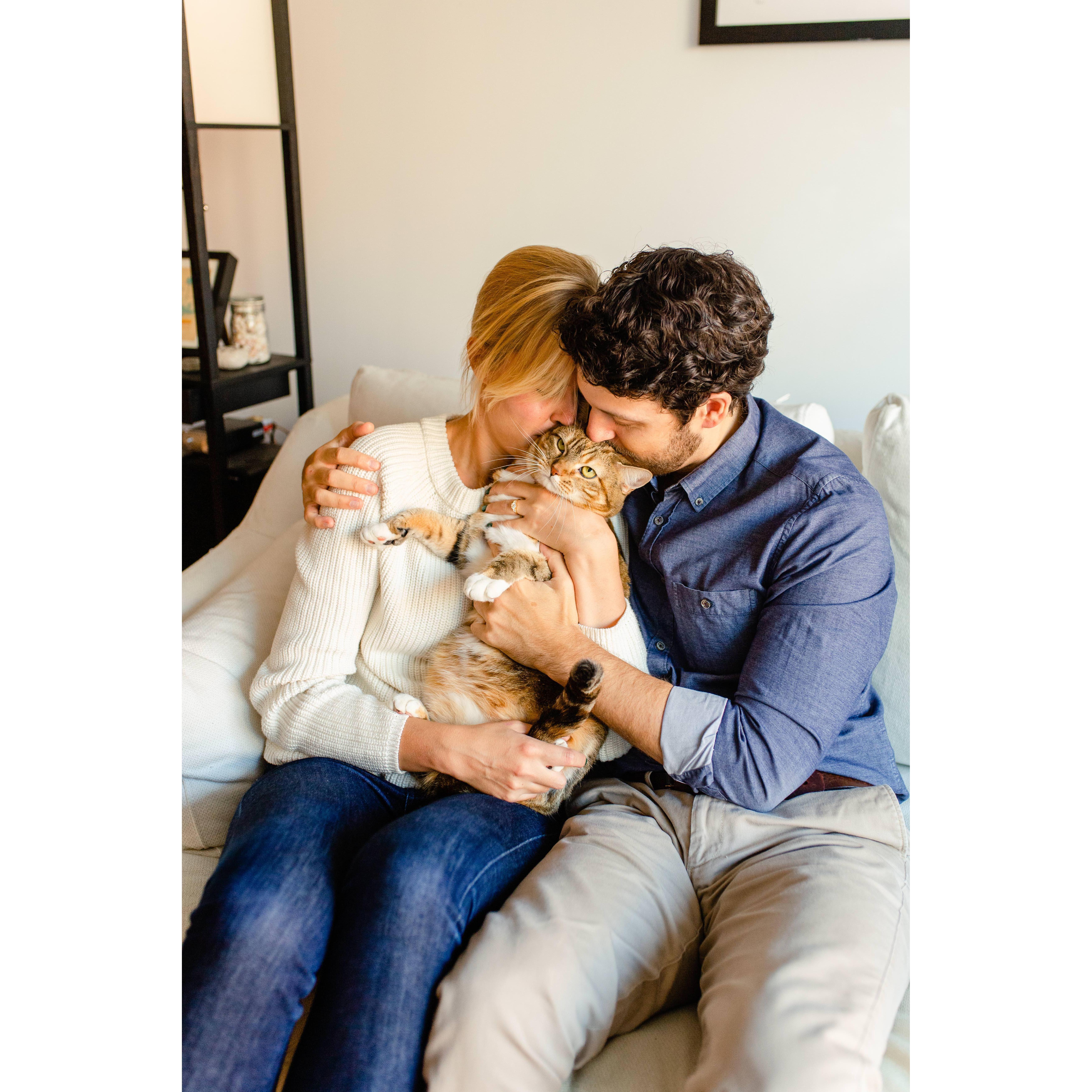 At home in Brooklyn, November 2020