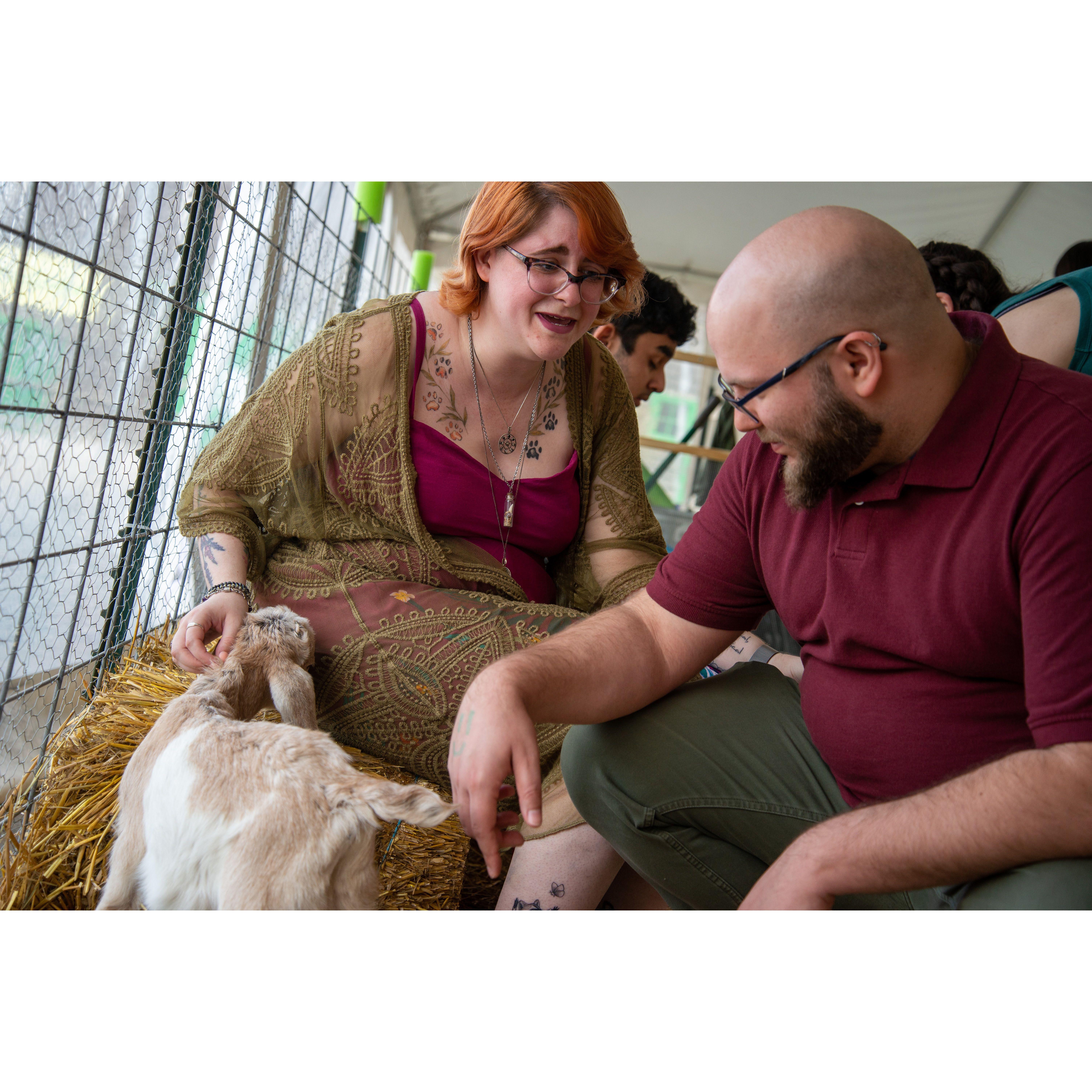 Our fourth year at Baby Animal Days, 2023