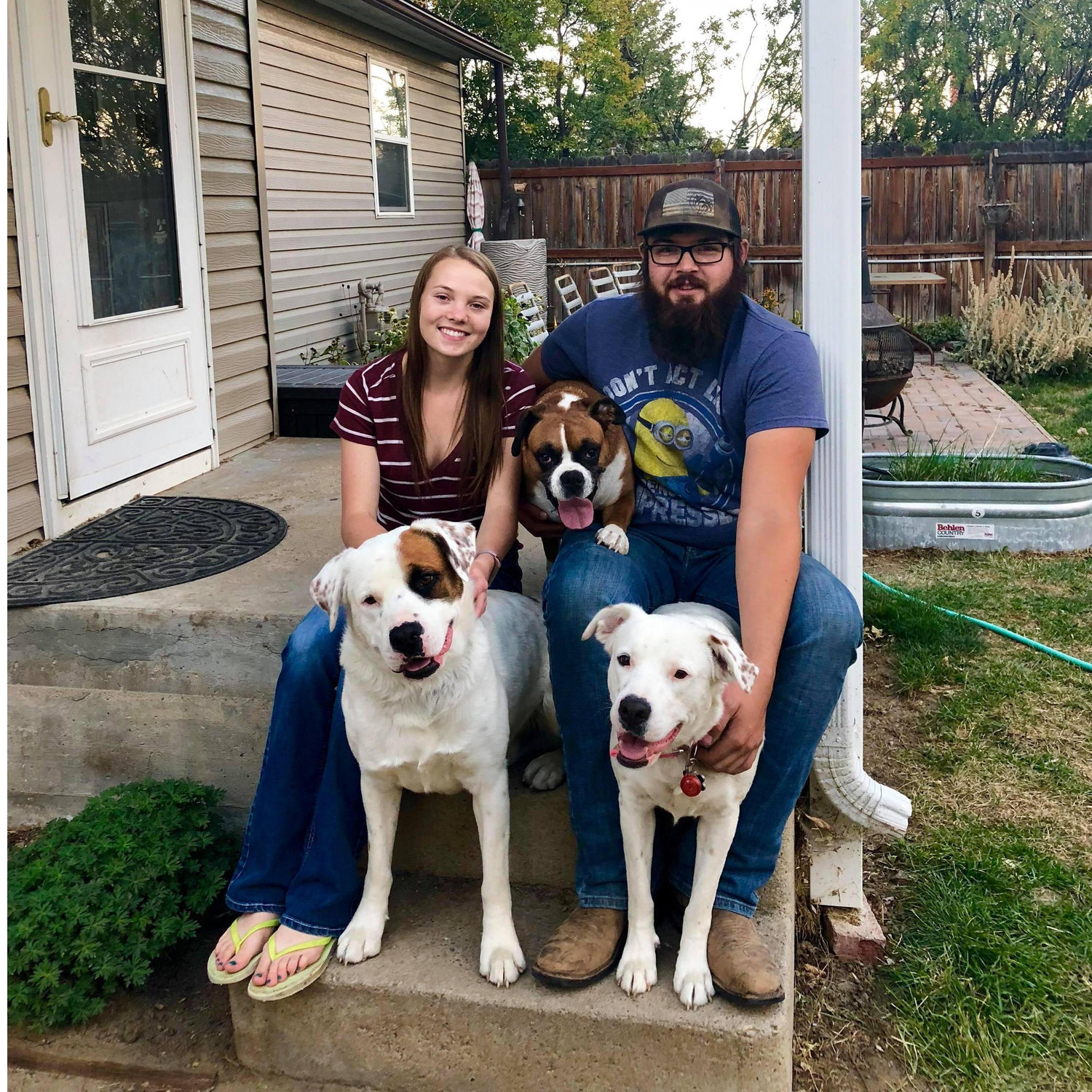 This is the first picture we got of the "Whole Family". Sadie has always been our baby and we adopted Edel & Brock after we bought our house in Rudyard and they have kept us on our toes ever since!
