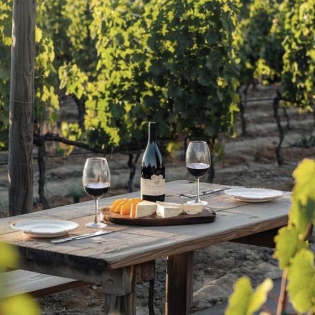 Wine Tasting— Honeymoon