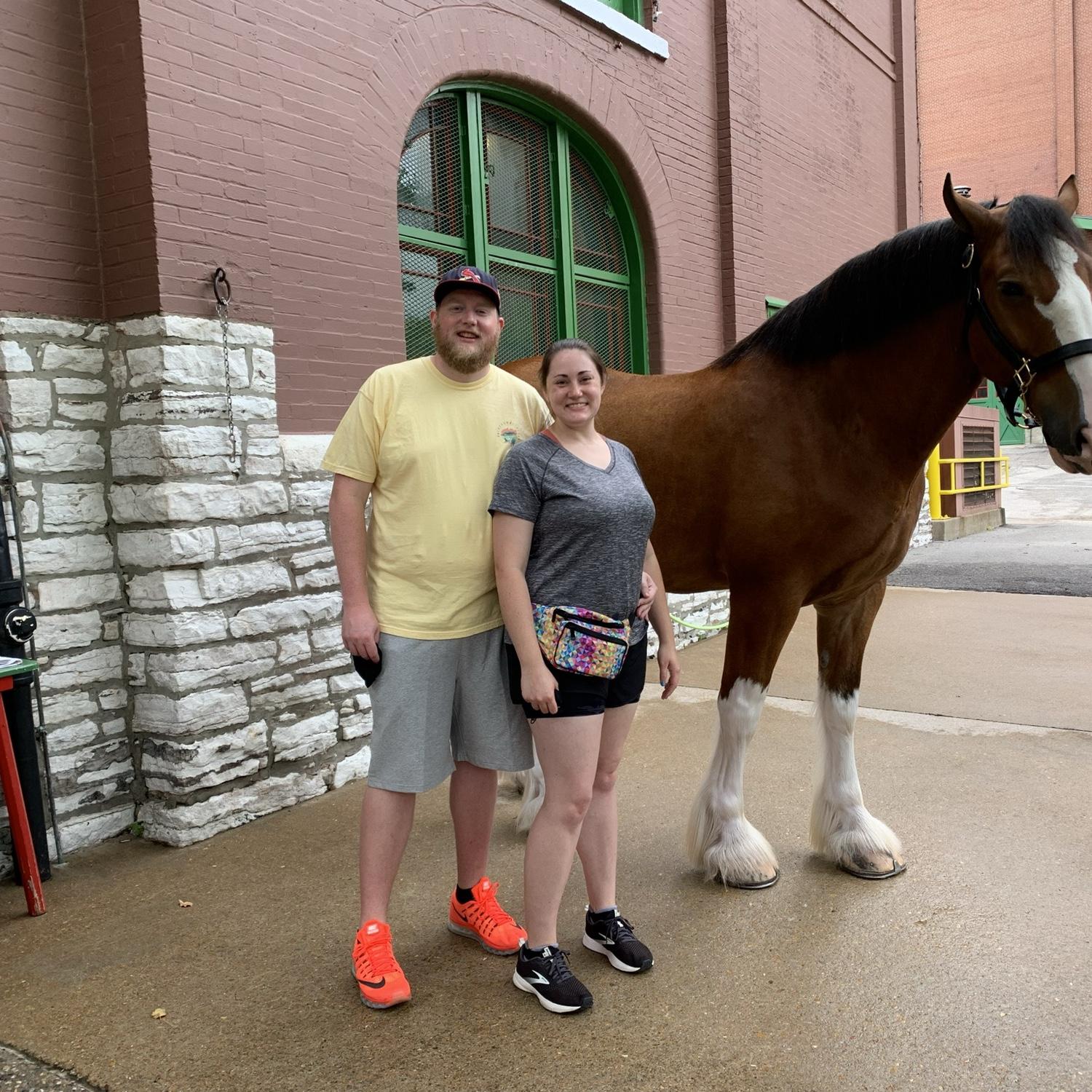 Meeting the Clydesdales
September 2021