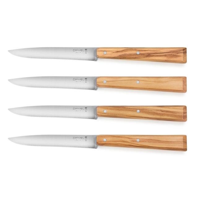 4 Piece Stainless Steel Steak Knife Set