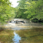 St. Francois State Park