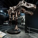 Center of Science and Industry (COSI)