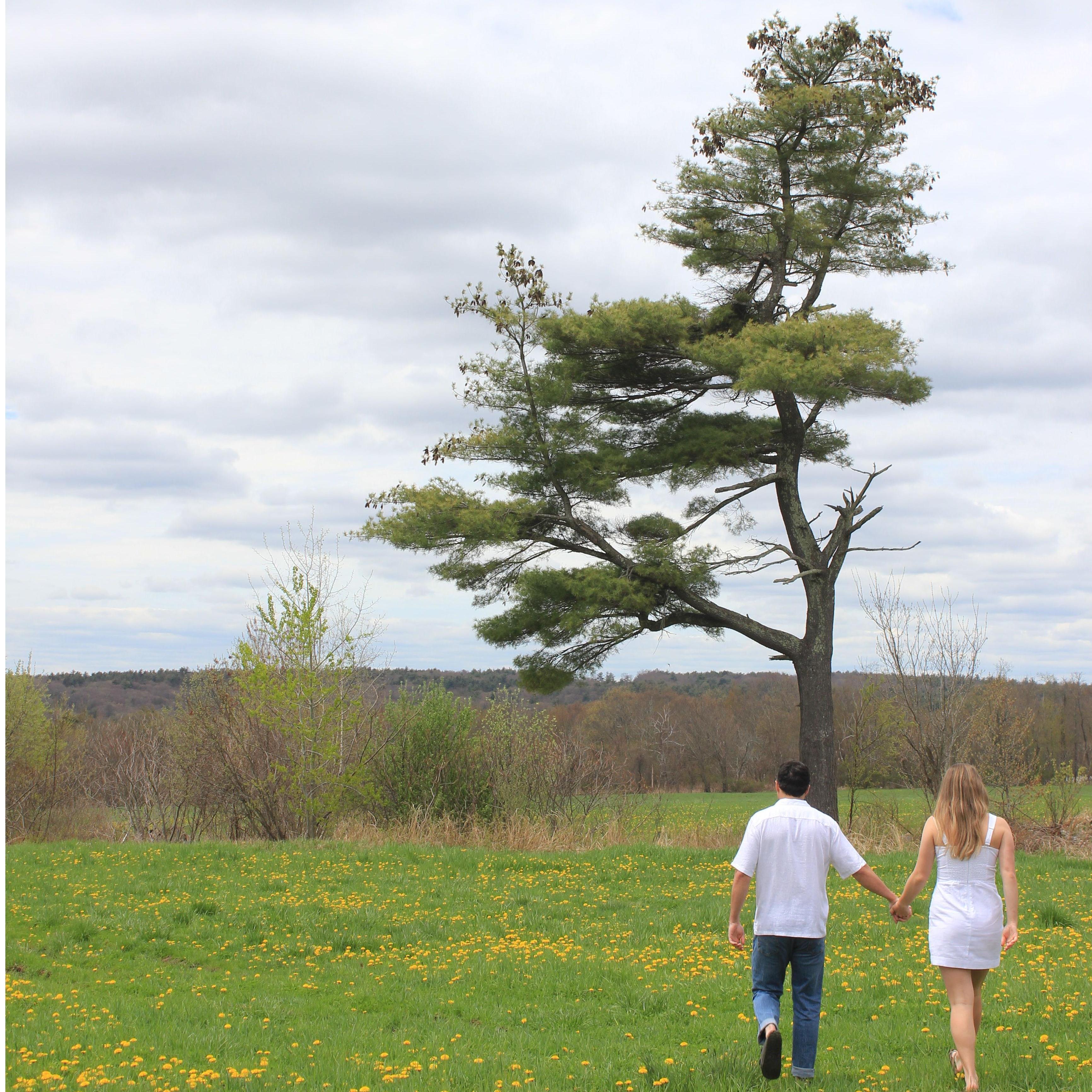 Meghan's grandmother's favorite tree