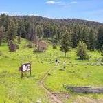 Lemonknob Loop Trail