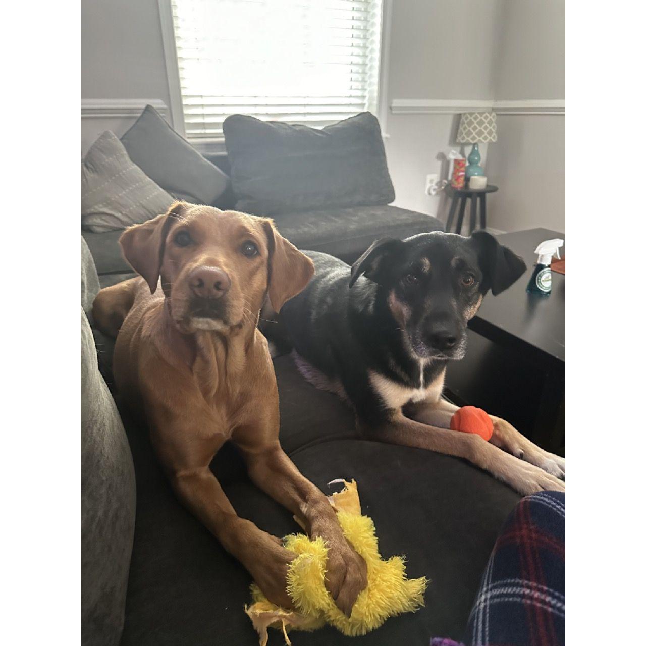 Our girls :)
