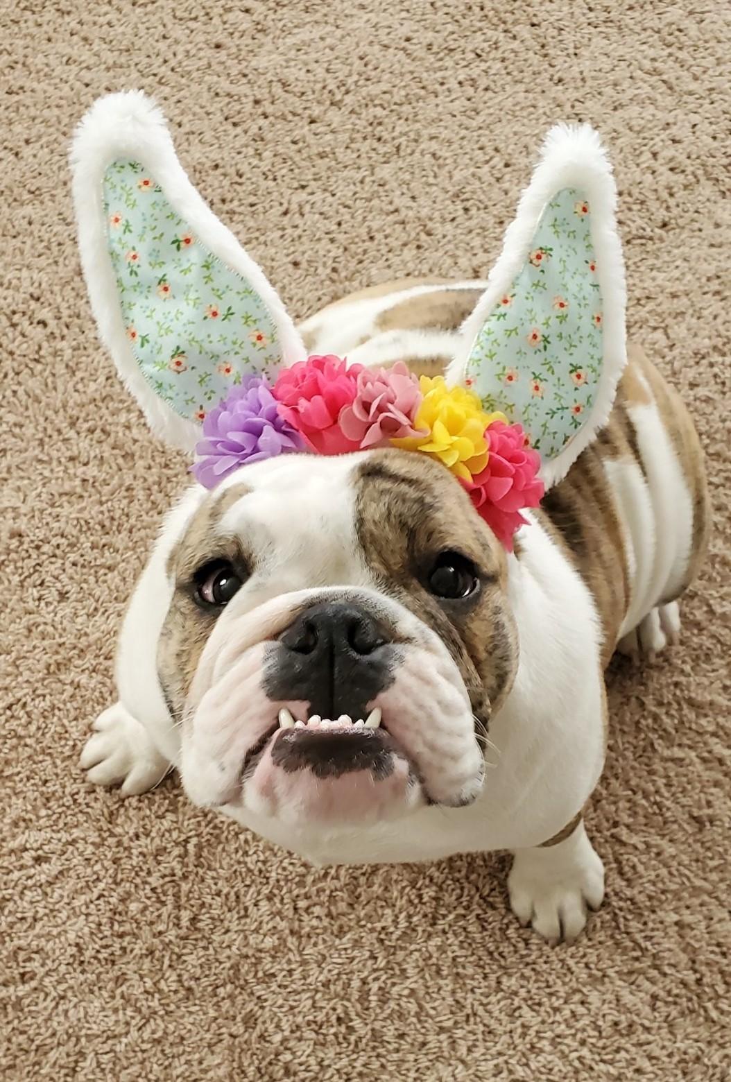 The Wedding Website of Lindsay Buzzard and Tony Reed