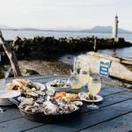 Taylor Shellfish Farm