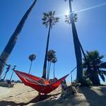 Venice Beach