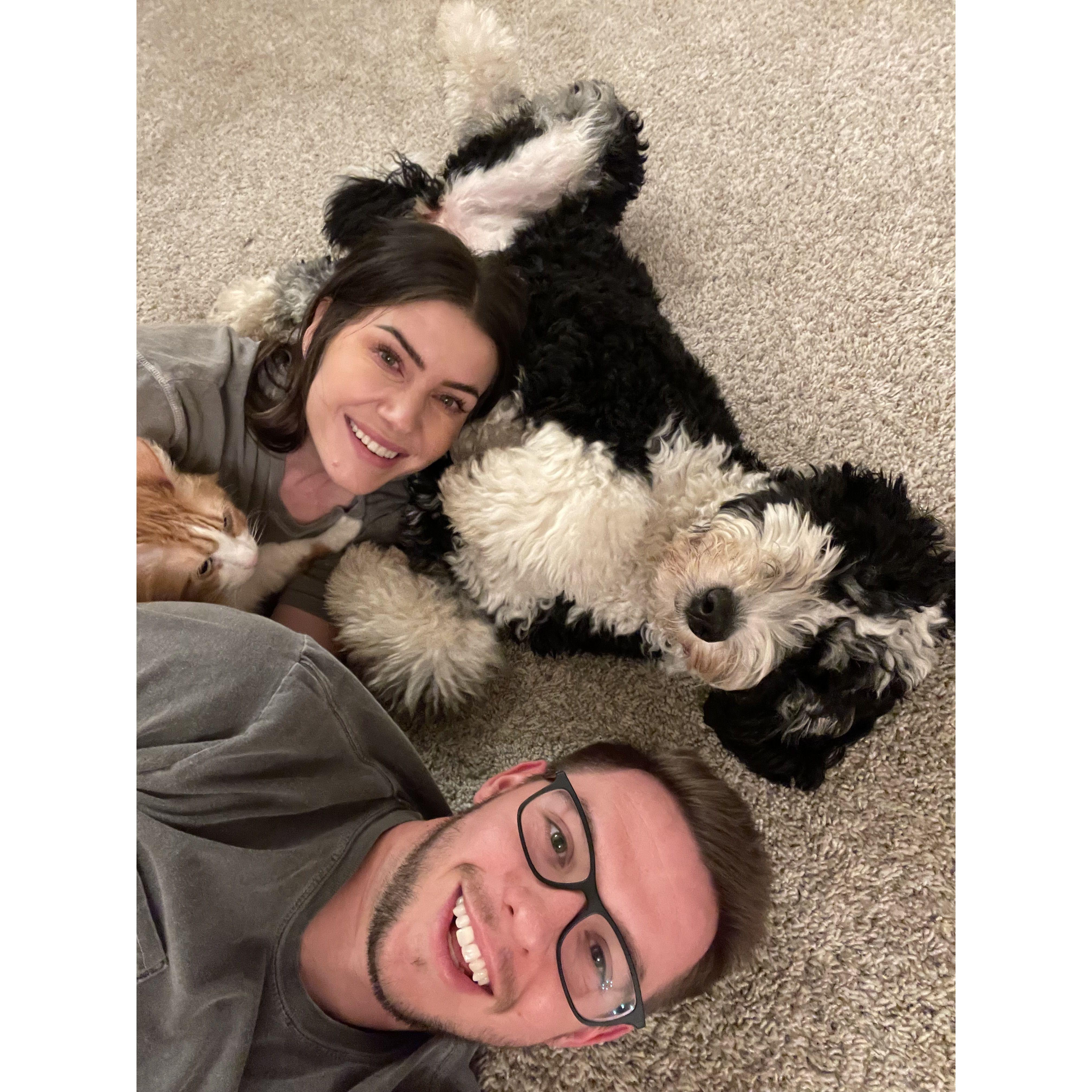 Consider this our 2024 holiday card, from our family to yours!