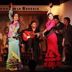 Catch a Flamenco Show