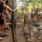 John Ball Zoo