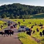 Custer State Park