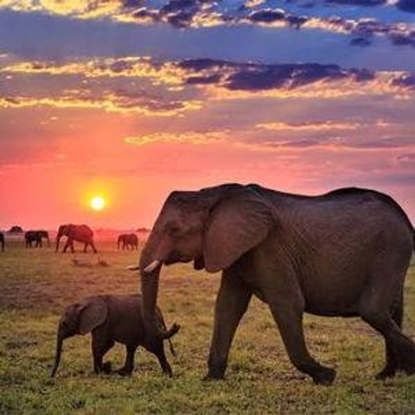 Contribute to our Honeymoon