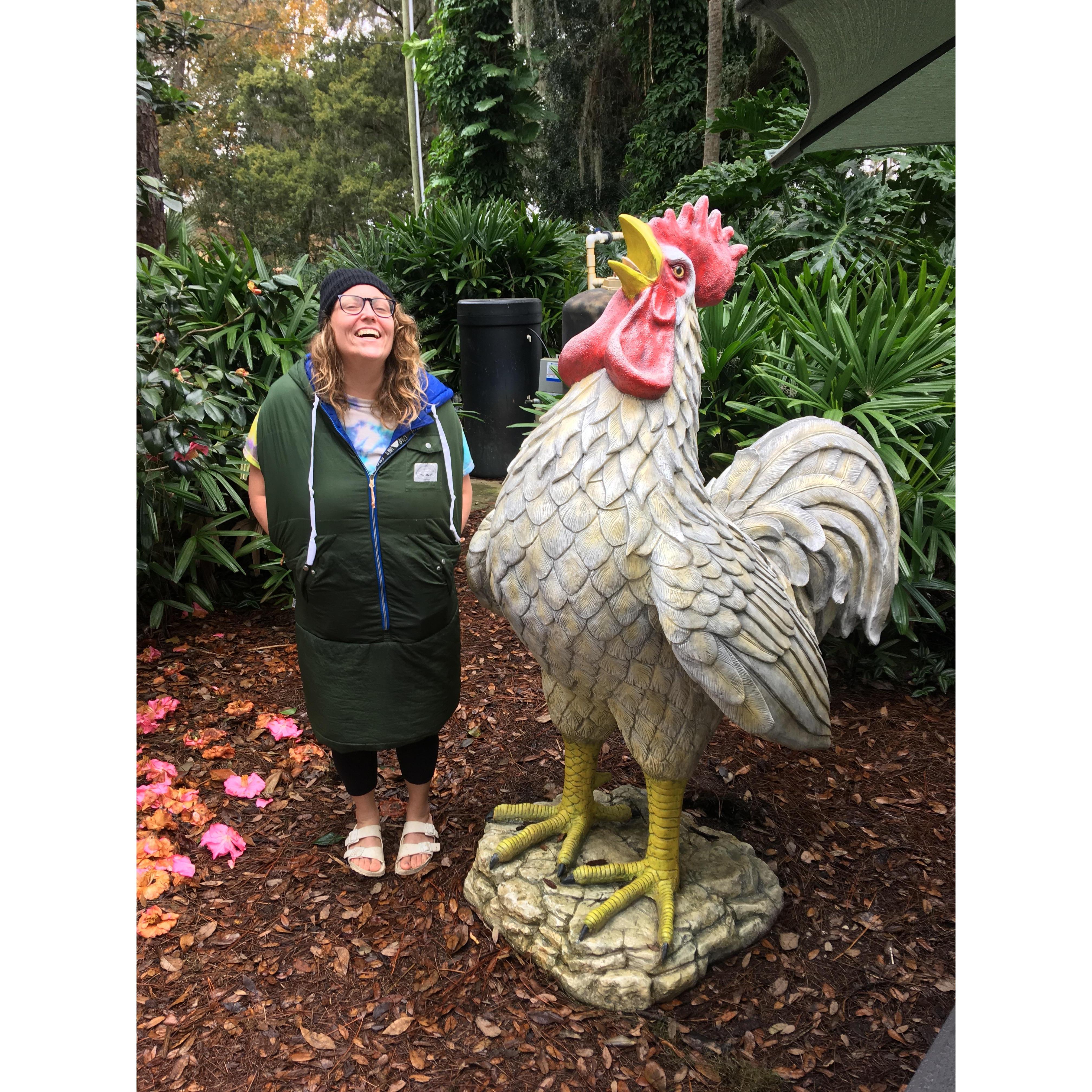 Kate loves chicken. Ocoee FL, February 2018