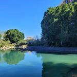 The Japanese Friendship Garden of Phoenix