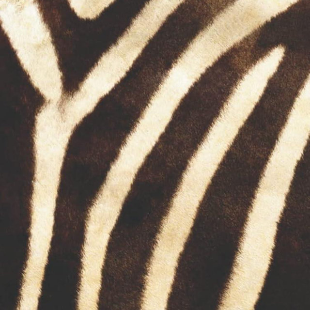 Minimalist Zebra Animal Print: Minimalist Decor Book For Coffee Tables, Shelves, Interior Design, Luxury Decoration, Home Style, Bookshelves (Animal Print Decor Books)