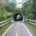 Cape Cod Rail Trail parking