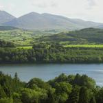Castlewellan Forest Park