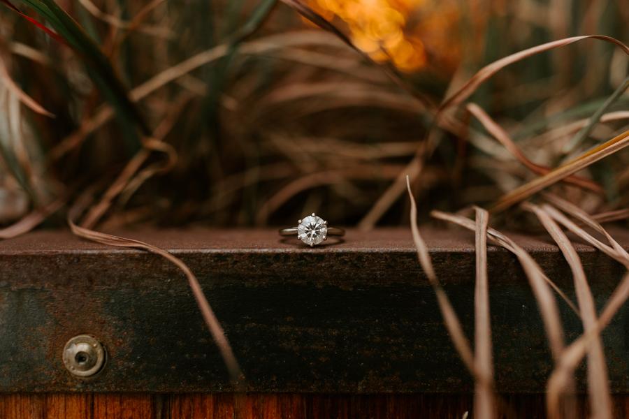 The Wedding Website of Allison Zippert and Jay Abarbanel