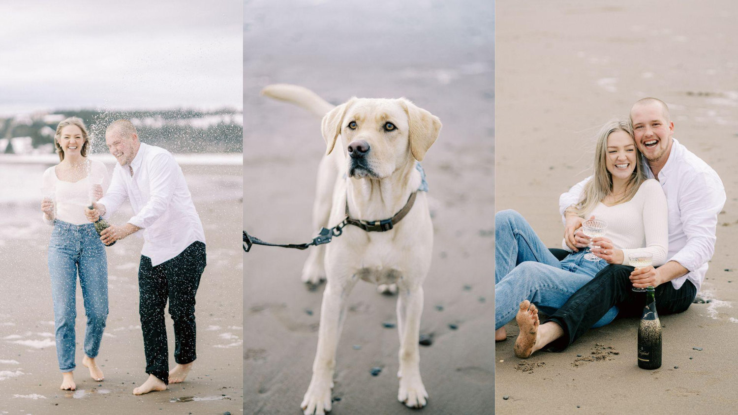 The Wedding Website of Victoria Cook and Jesse Marsters