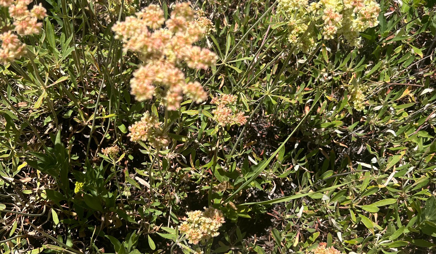 The Wedding Website of Kara Allen and Jake Cummins