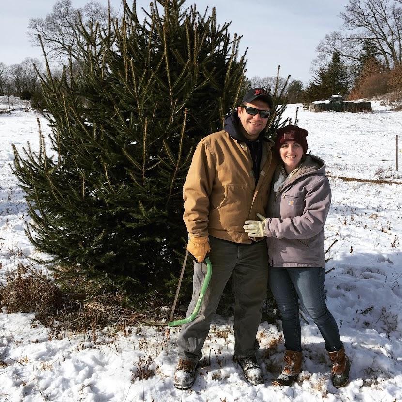 First Christmas bush :). It runs in the family, and Nick so happens to have a knack for it.
