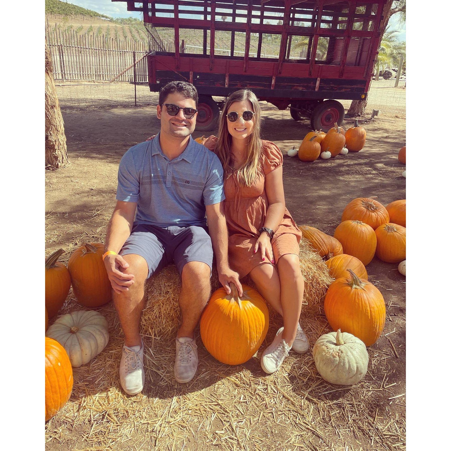 Who doesn't love a pumpkin patch?