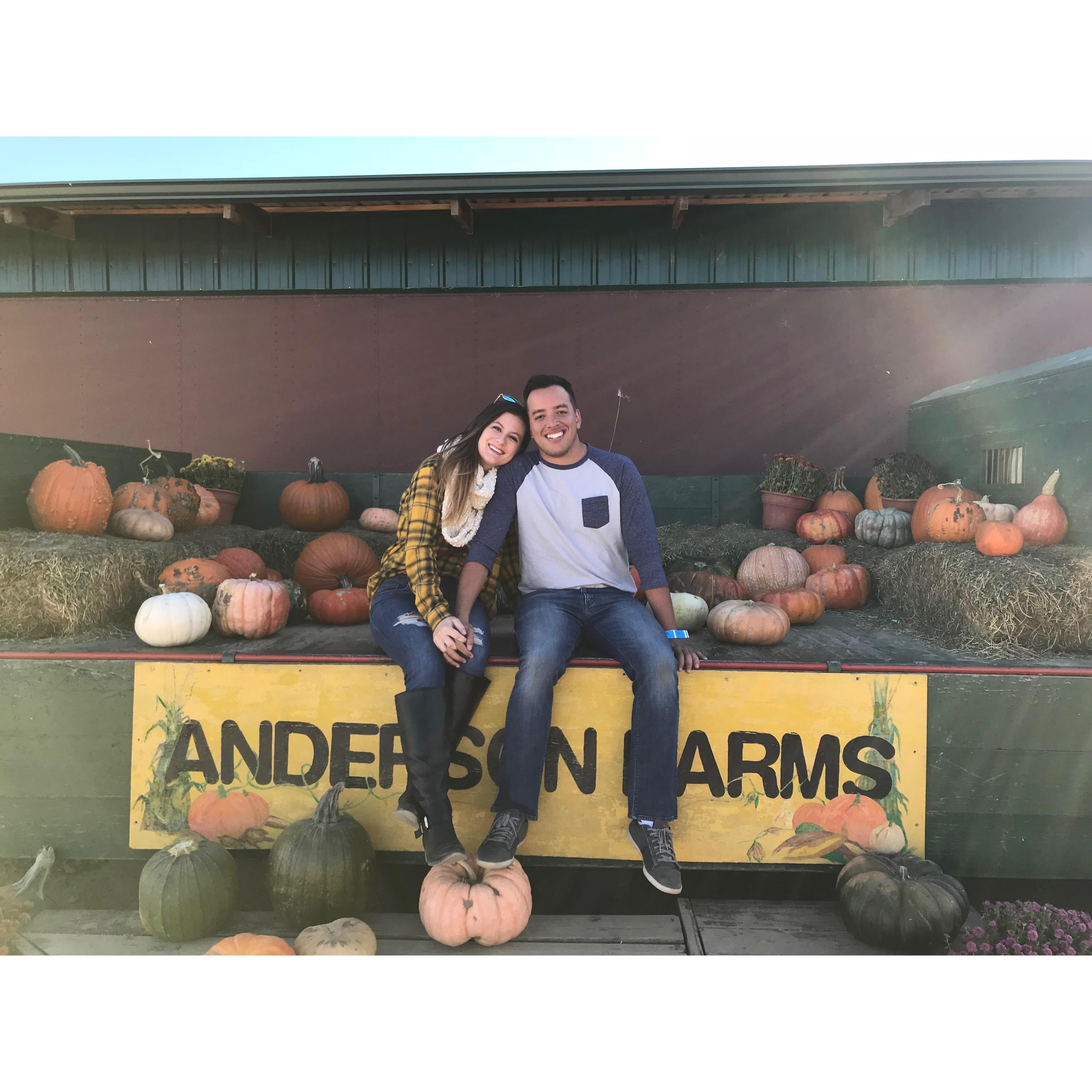 Fall is Ali's absolute favorite season. She's continuing the attempt at teaching Tony to appreciate pumpkin patches and other autumnal activities.
[Anderson Farms]