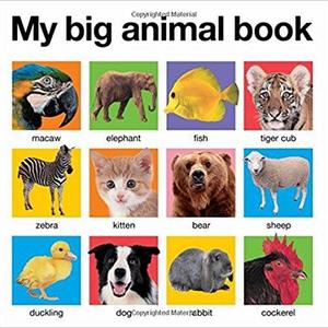 My Big Animal Book (My Big Board Books)