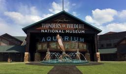 Wonders Of Wildlife National Museum & Aquarium