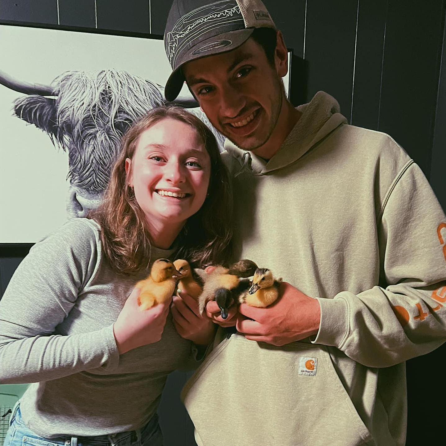 Our "Baby" Ducks