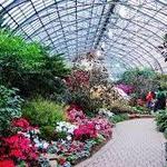 Garfield Park Conservatory