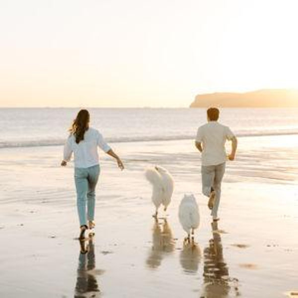 Our Honeymoon Fund