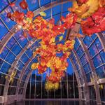 Chihuly Garden and Glass