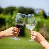 Del Vino Vineyards