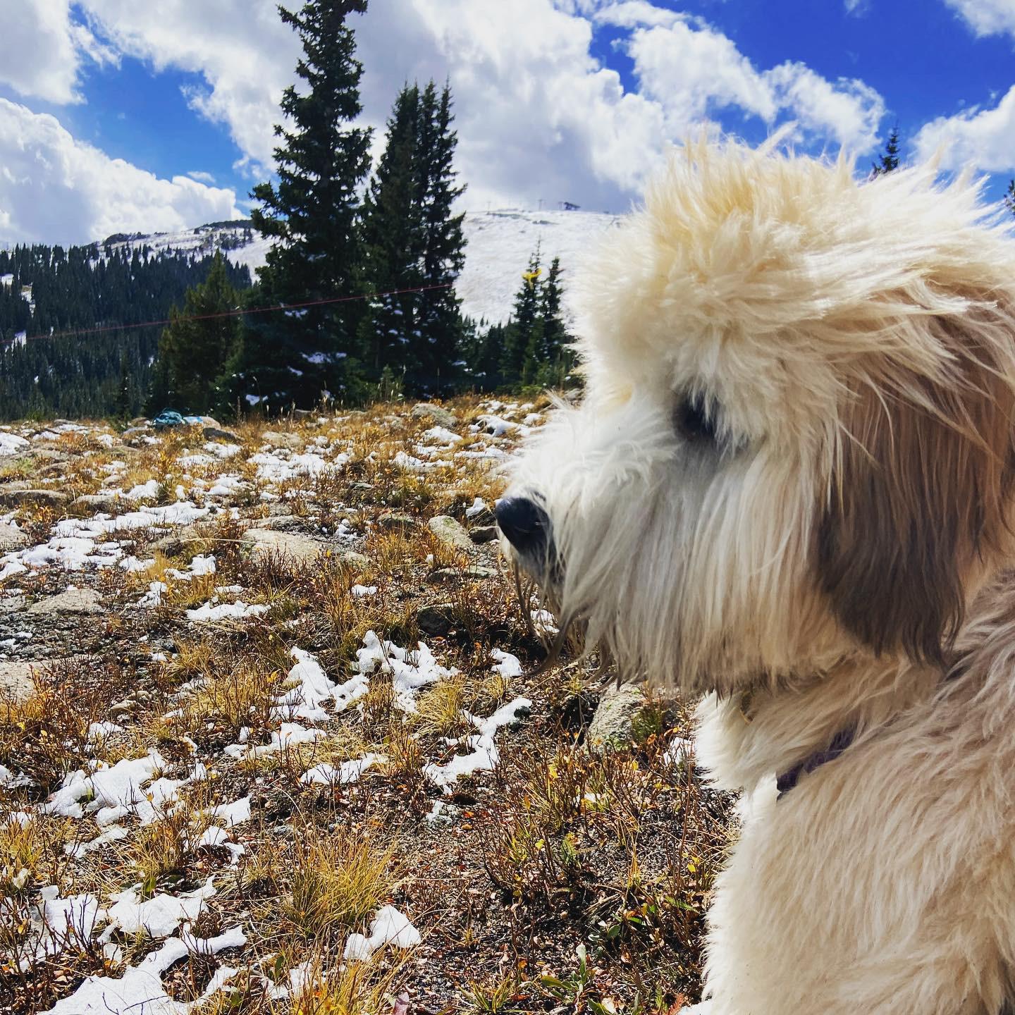 Adventure Dottie - Winter Park, CO