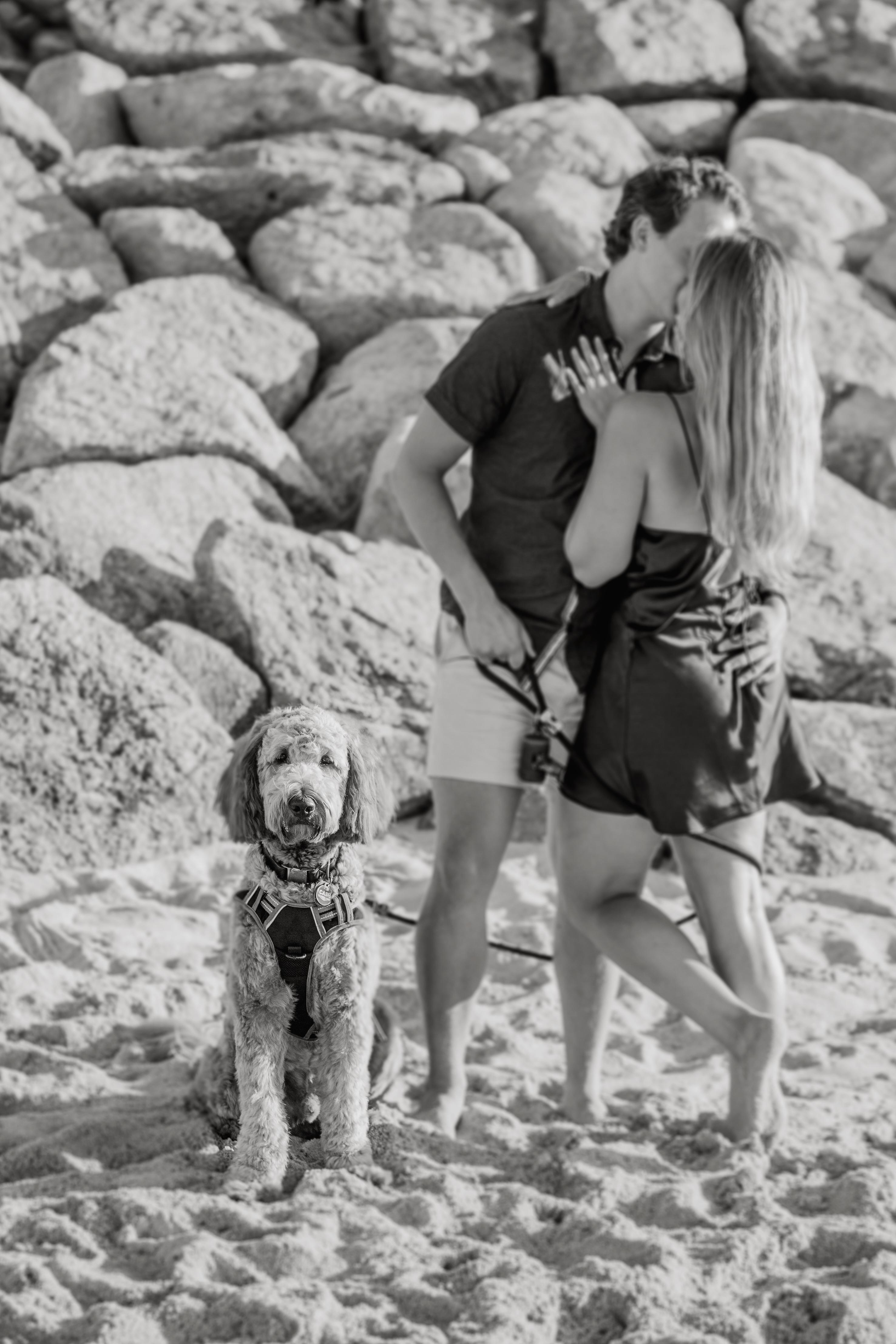 The Wedding Website of EMILY MARCEAU and IVAN POLIPAS
